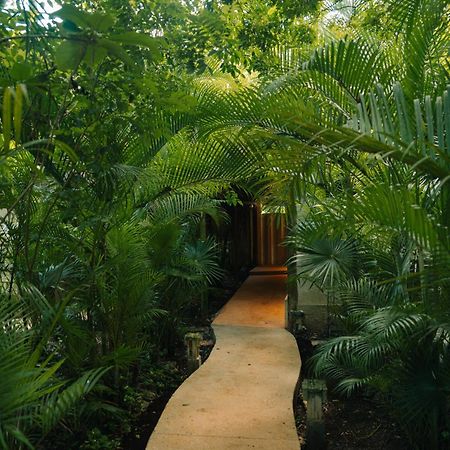 Aldea Coba An Escape Boutique Experience Hotel Exterior photo