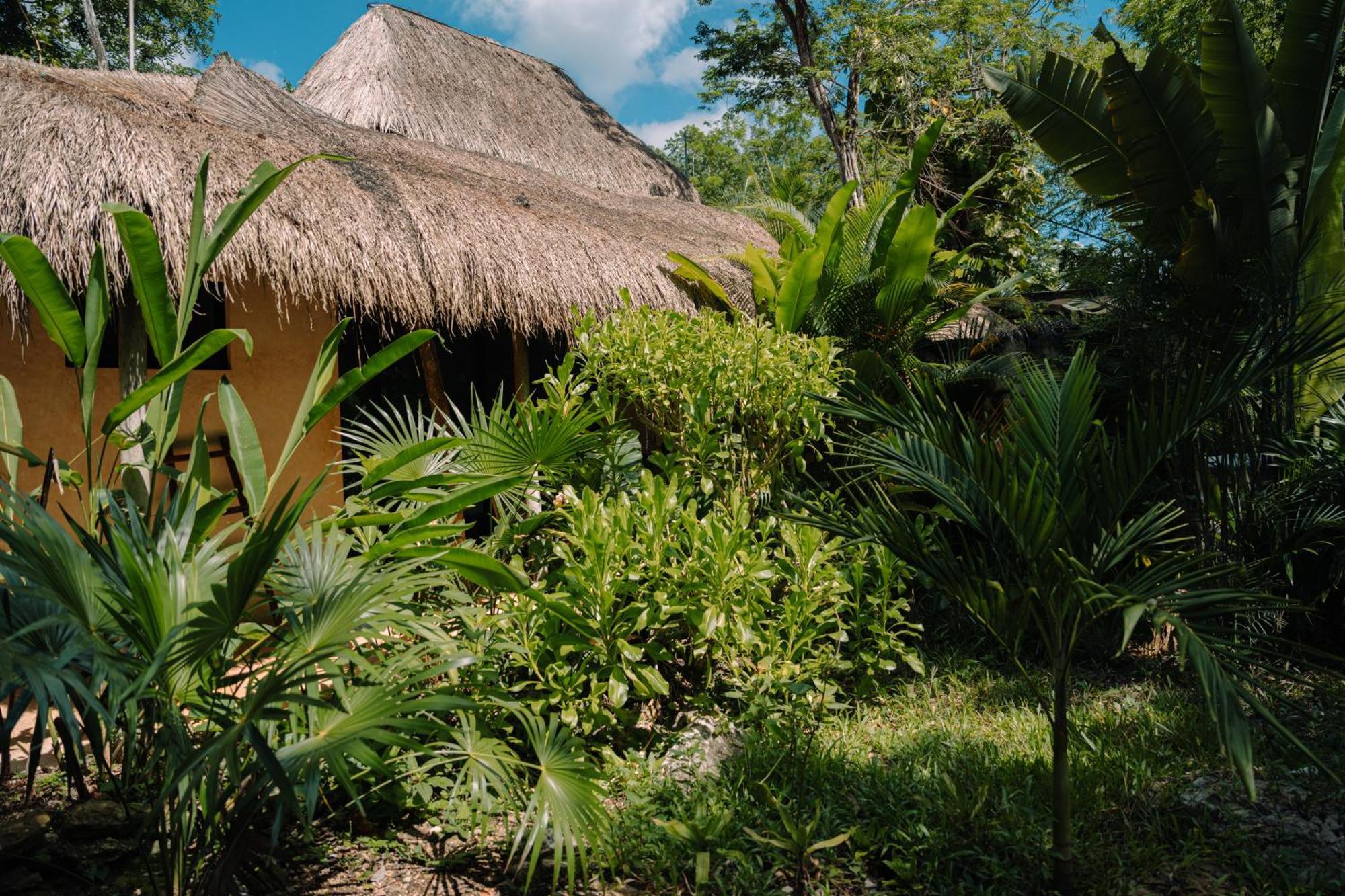 Aldea Coba An Escape Boutique Experience Hotel Room photo